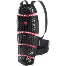 DAINESE PRO ARMOR BACK LONG 2.0